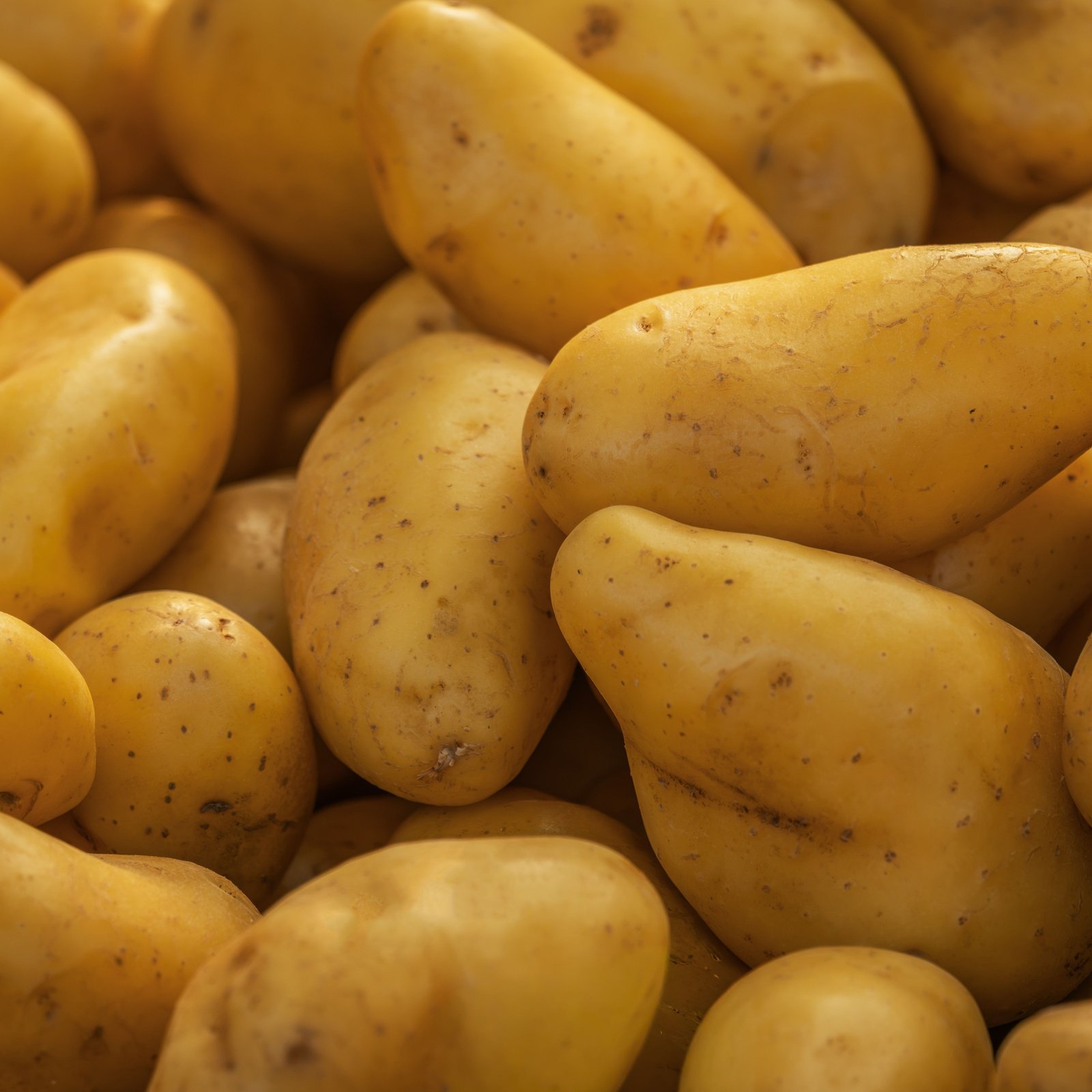Potato (Aloo)