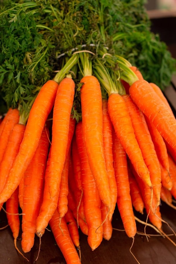Carrot (Gajar)