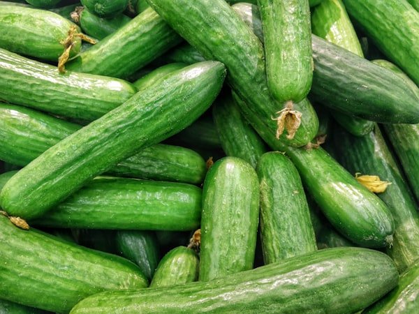 Cucumber (Kheera)