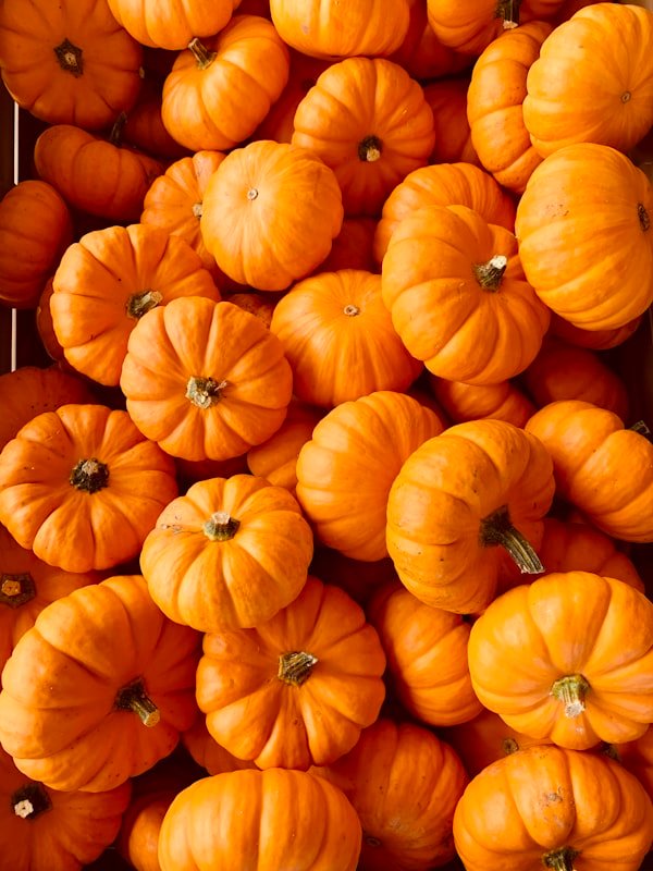 Pumpkin (Kaddu)