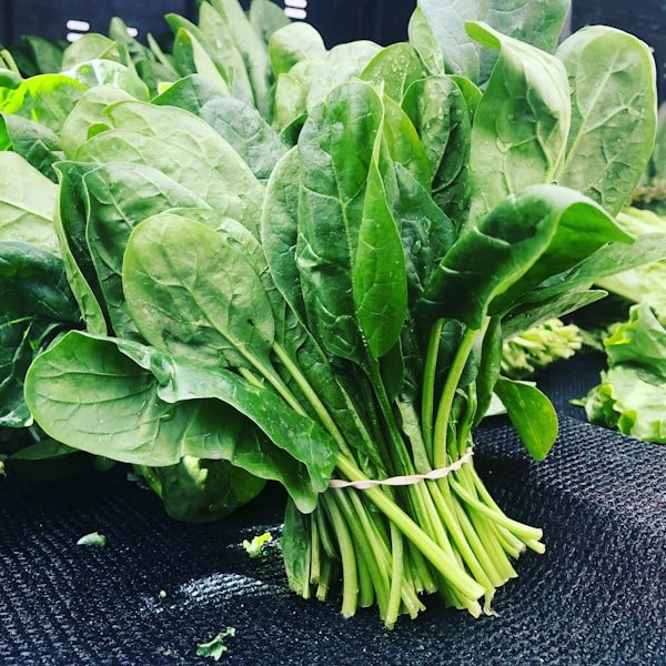Spinach (Palak)