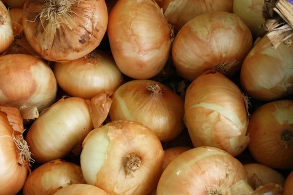 Spring Onion (Hara Pyaz)